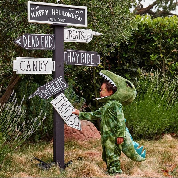 Pottery Barn Kids Costumes Pottery Barn Light Up Dinosaur Costume